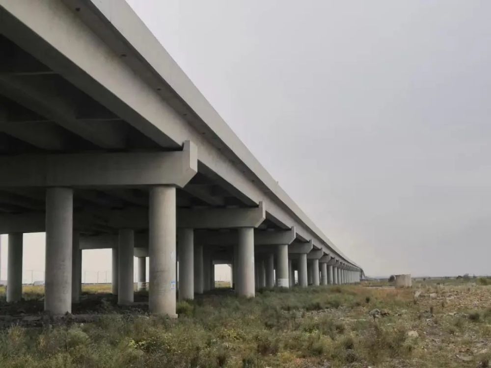 点赞！浙江省科学技术进步奖二等奖花落公路工程建筑领域