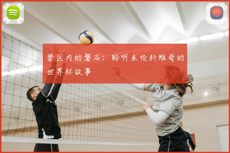 禁区内的磐石：聆听米伦科维奇的世界杯故事