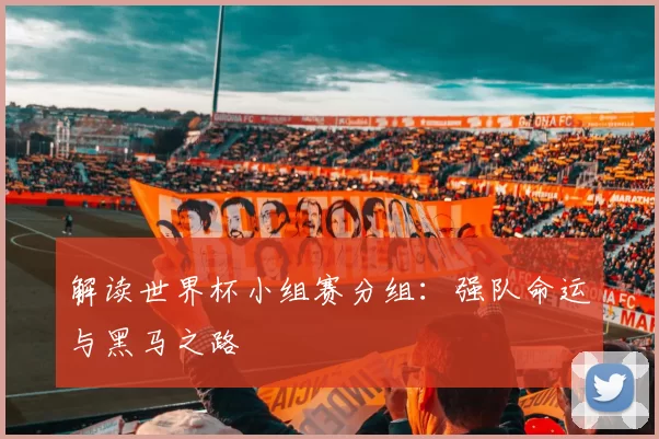 解读世界杯小组赛分组:强队命运与黑马之路