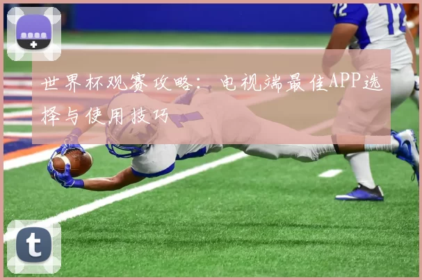 世界杯观赛攻略：电视端最佳APP选择与使用技巧