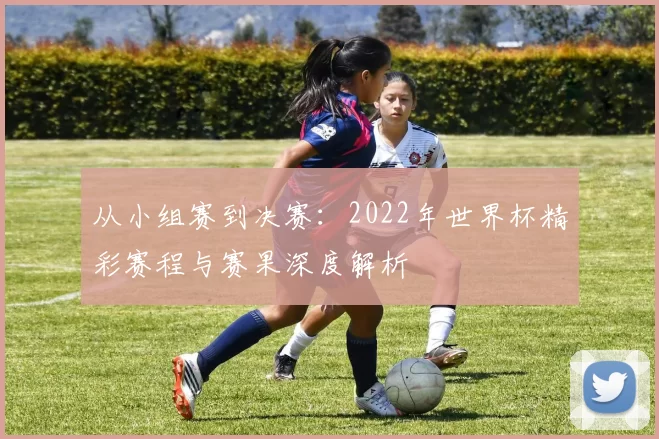 从小组赛到决赛：2022年世界杯精彩赛程与赛果深度解析