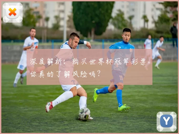 深度解析:购买世界杯冠军彩票,你真的了解风险吗?