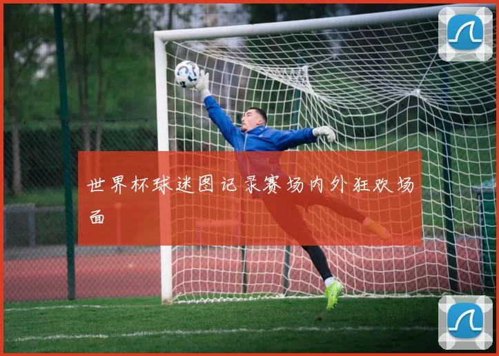 世界杯球迷图记录赛场内外狂欢场面