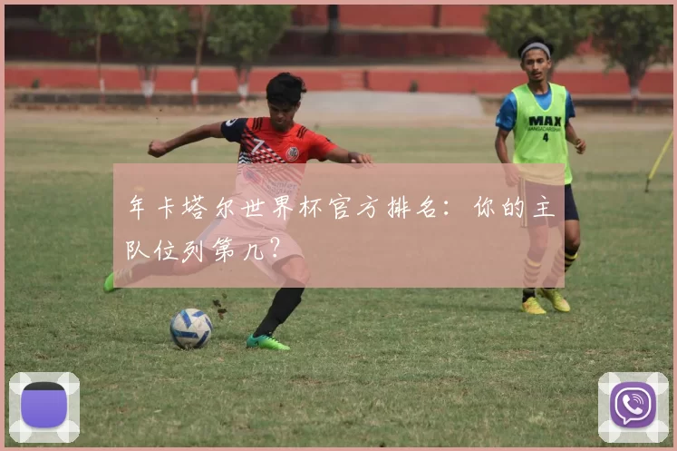 年卡塔尔世界杯官方排名:你的主队位列第几?