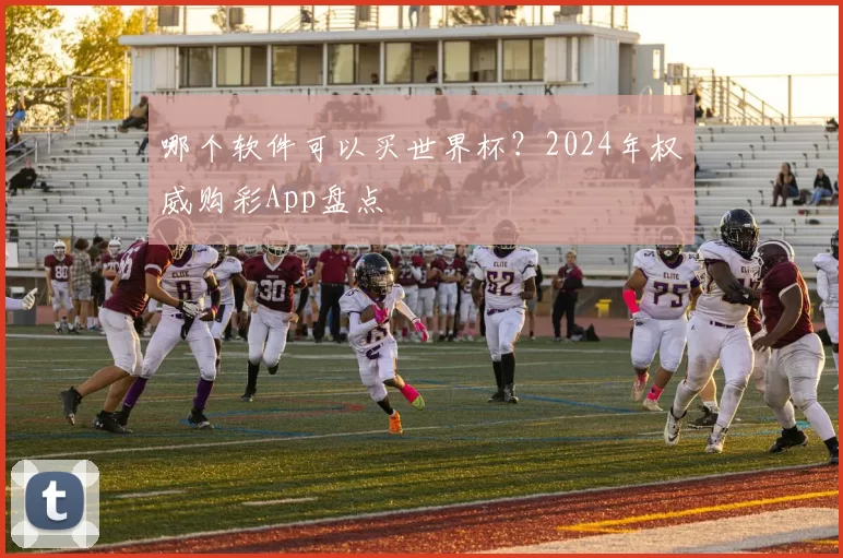 哪个软件可以买世界杯？2024年权威购彩App盘点