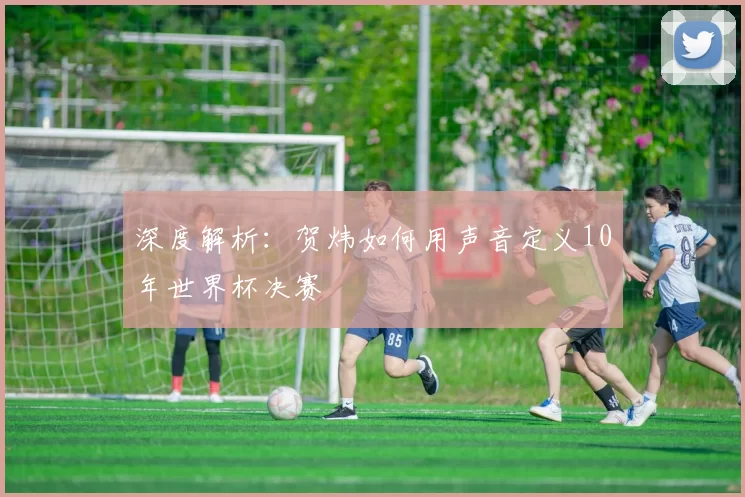 深度解析:贺炜如何用声音定义10年世界杯决赛