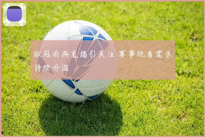 欧冠雨燕直播引关注 赛事观看需求持续升温