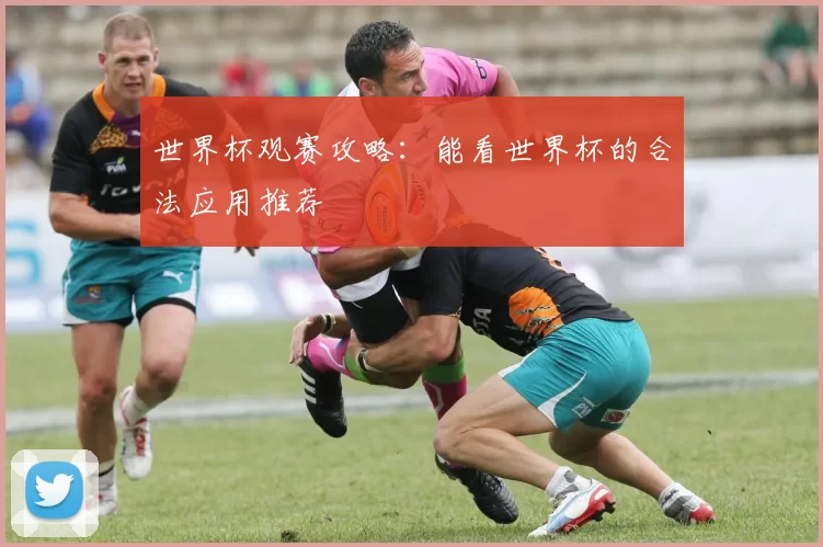 世界杯观赛攻略：能看世界杯的合法应用推荐